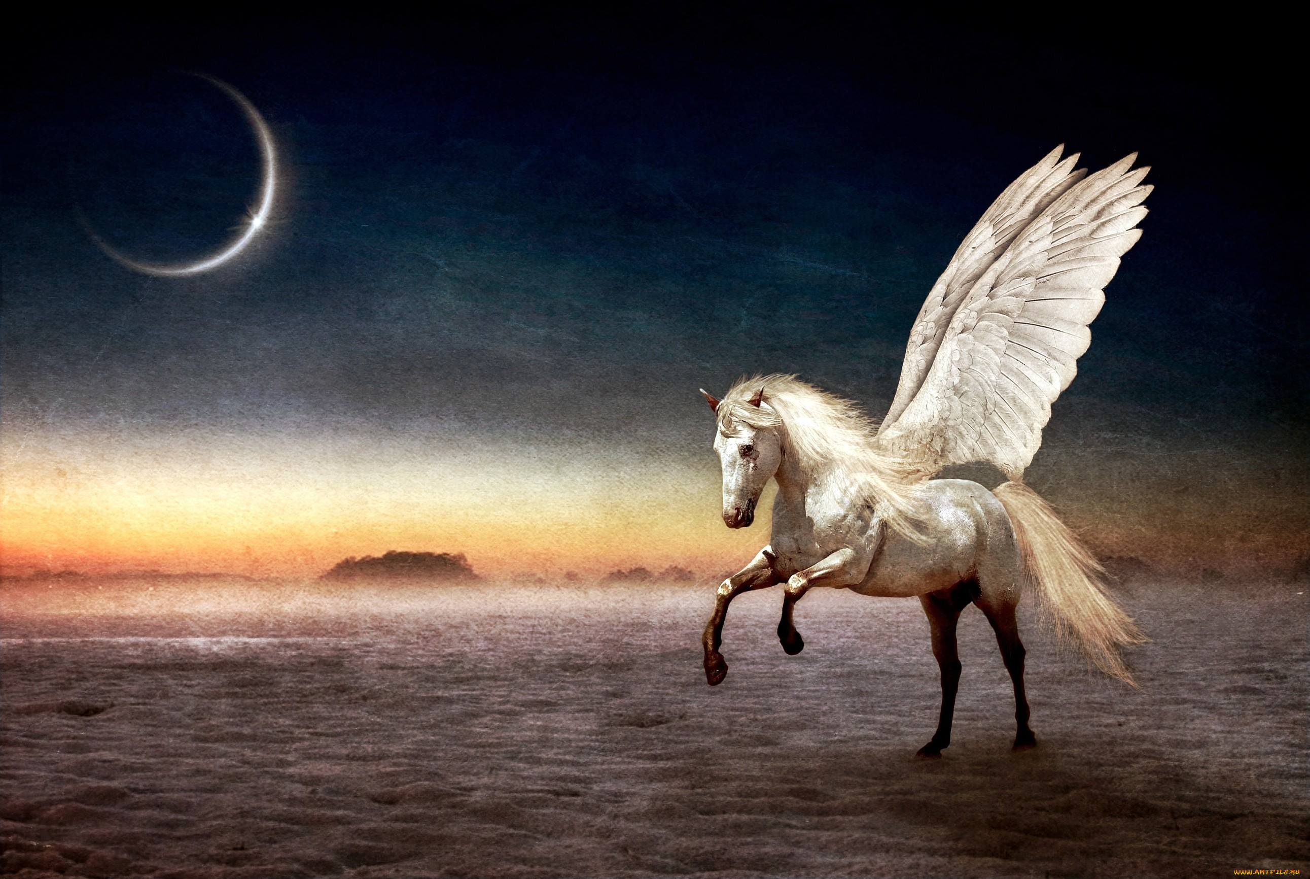 Horse life пегасы. Крылатый конь Пегас. Мифический крылатый конь Пегас. Пегас древнегреческая мифология. Конь с крыльями.